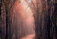 全尤文：在梅西的全力推荐下，博格巴接近加盟迈阿密国际.