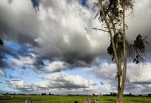 图片报：若特狮伤愈后找不回最佳状态，诺伊尔可能参加世界杯.