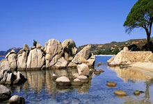 全尤文:在梅西的全力推荐下,博格巴接近加盟迈阿密国际.